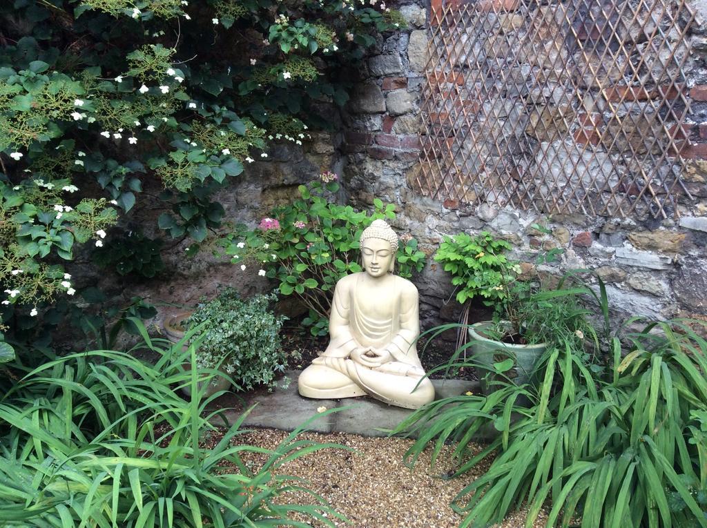 Sacred Garden Retreat Apartment Glastonbury Bagian luar foto